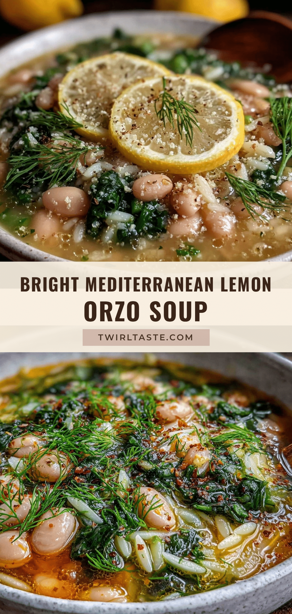 Mediterranean lemon orzo soup recipe