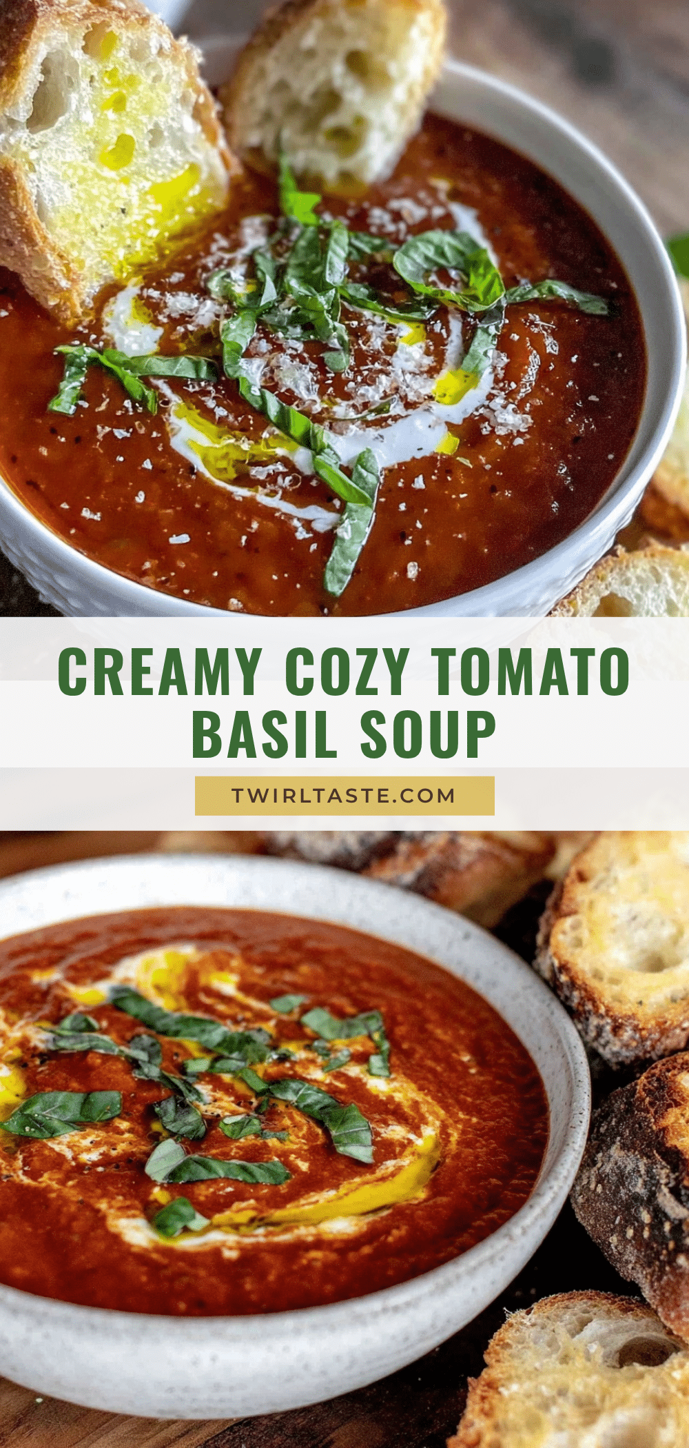 creamy tomato basil soup recipe