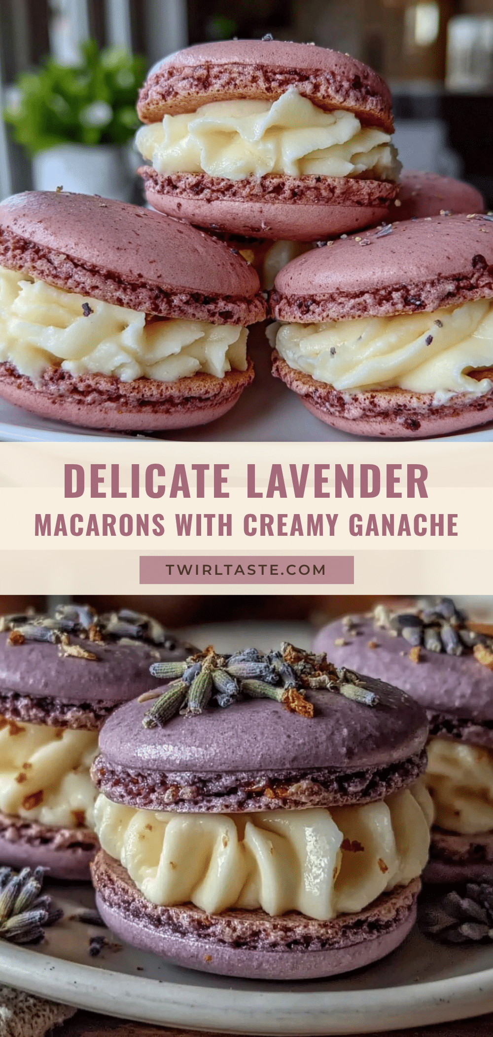 lavender macarons recipe