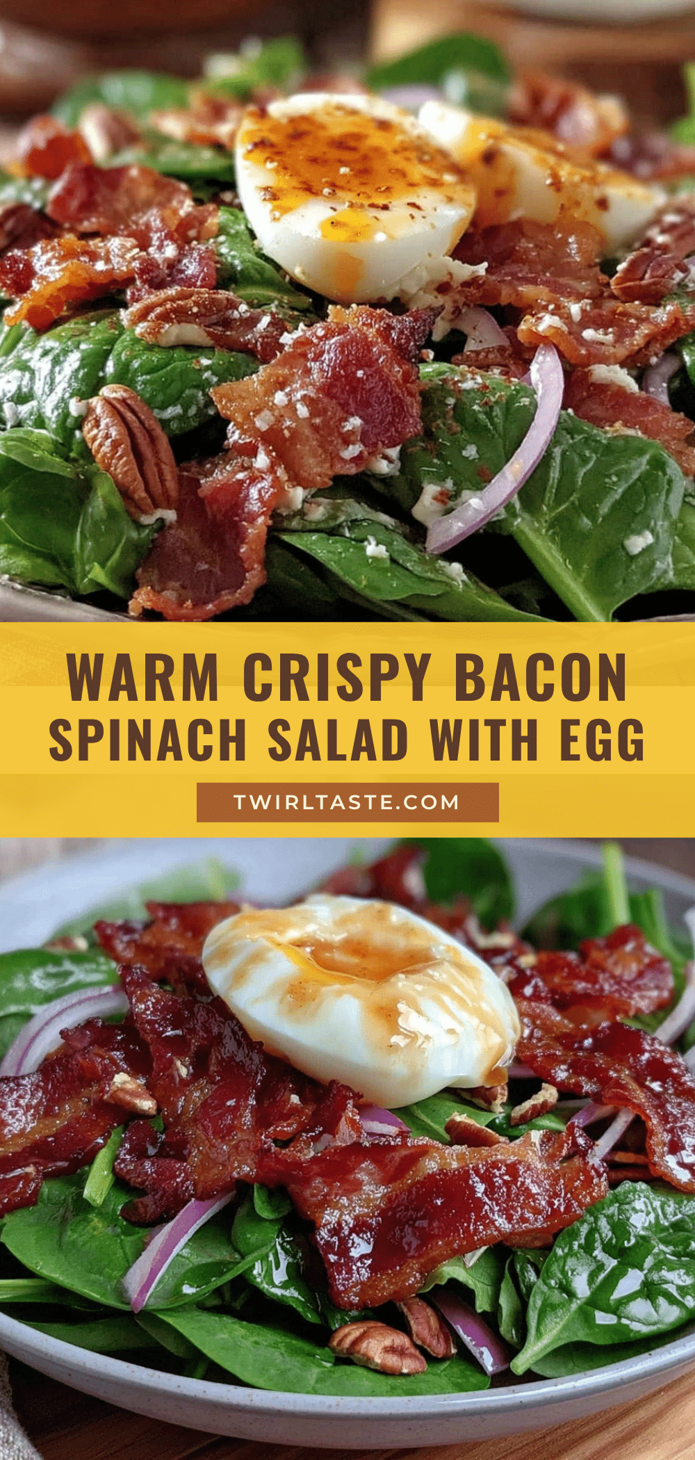 warm bacon spinach salad recipe