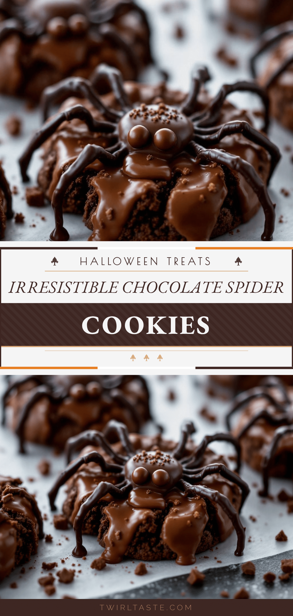 chocolate spider cookies recipe