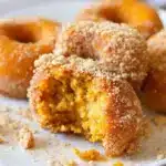 cinnamon sugar pumpkin donut holes - featured image