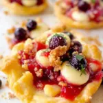 Crispy Cranberry Brie Bites - featured image