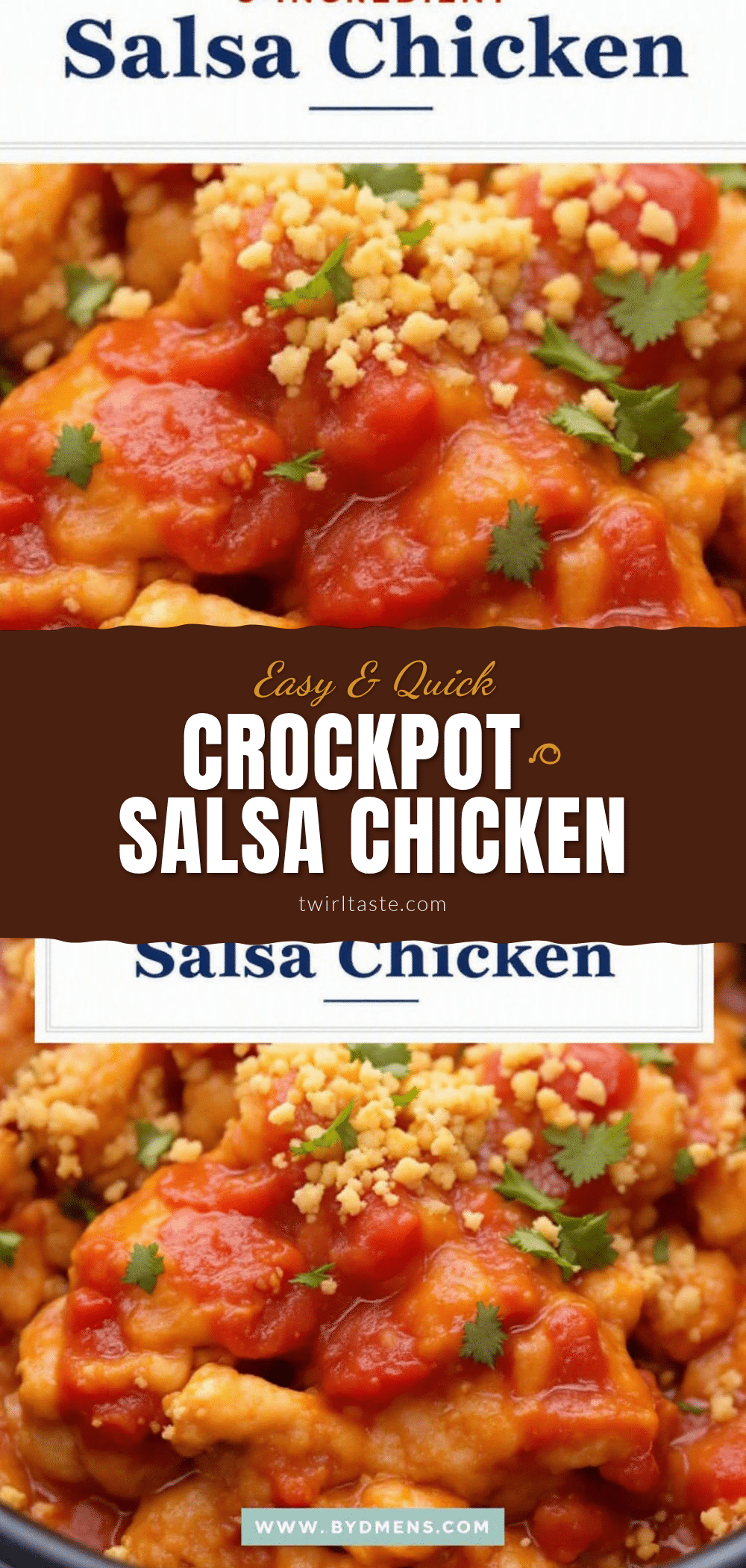 Easy 5-Ingredient Crockpot Salsa Chicken recipe